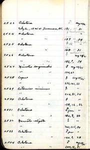 file details