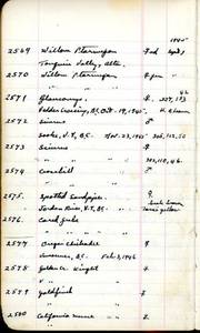 file details