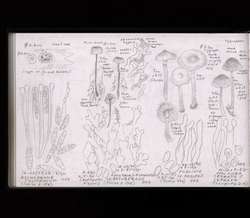 file details