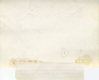 file details