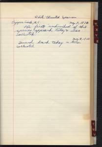 file details