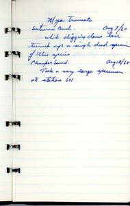 file details