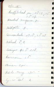 file details