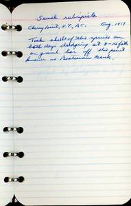 file details