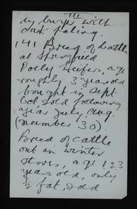 file details