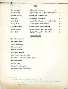 file details