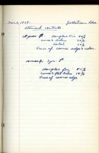 file details