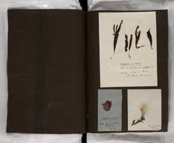 file details