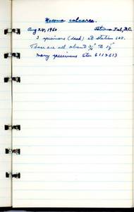 file details
