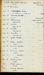 file details
