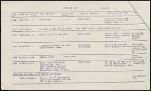 file details
