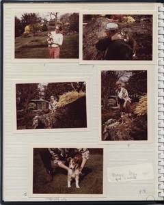 file details