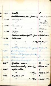 file details
