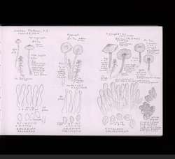 file details
