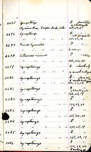 file details
