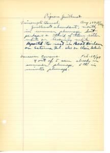 file details