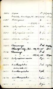 file details