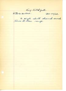 file details