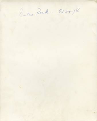 file details