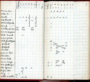 file details