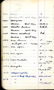 file details